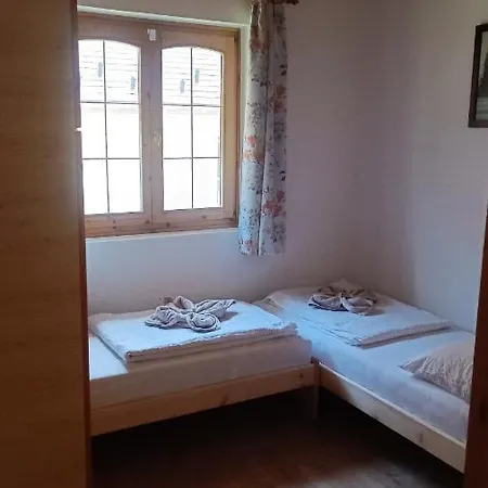 Vica Apartament *