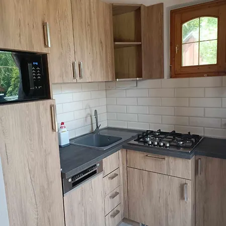 Vica Apartament *