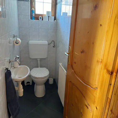 Vica Apartament *